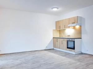 Pronájem bytu 1+kk, Plzeň, Železniční, 27 m2