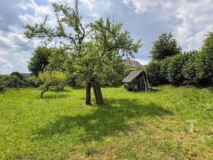 Prodej zahrady, Bělá u Jevíčka, 773 m2