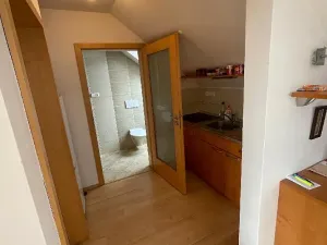 Pronájem bytu 1+kk, Pardubice, K Dolíčku, 40 m2