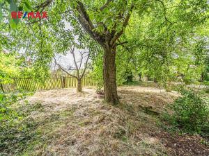 Prodej chalupy, Bílichov, 55 m2