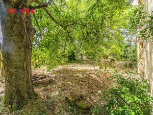 Prodej chalupy, Bílichov, 55 m2