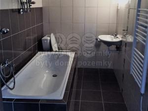 Pronájem bytu 1+kk, Kravaře, 42 m2