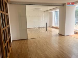 Pronájem rodinného domu, Praha - Braník, Údolní, 330 m2