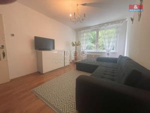 Prodej bytu 4+1, Litvínov - Janov, Luční, 82 m2