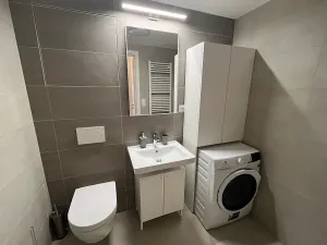 Pronájem bytu 2+kk, Brno, Placzkova, 51 m2