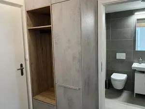 Pronájem bytu 2+kk, Brno, Placzkova, 51 m2