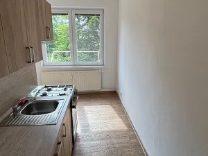 Prodej bytu 1+1, Ostrava, U Haldy, 40 m2