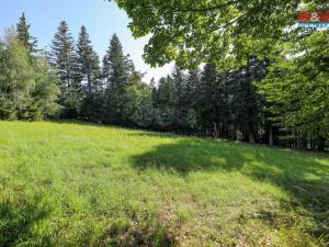 Prodej lesa, Petrovice u Sušice - Maršovice, 15707 m2