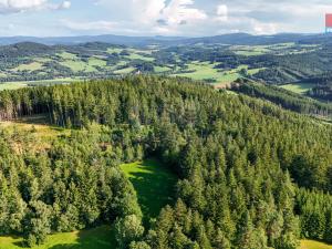 Prodej lesa, Petrovice u Sušice - Maršovice, 15707 m2