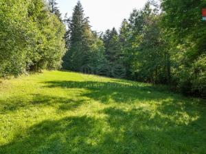 Prodej lesa, Petrovice u Sušice - Maršovice, 15707 m2
