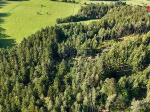 Prodej lesa, Petrovice u Sušice - Maršovice, 15707 m2