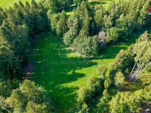 Prodej lesa, Petrovice u Sušice - Maršovice, 15707 m2