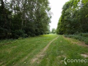 Prodej bytu 3+1, Kolín - Štítary, Ke Hřišti, 95 m2