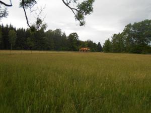 Prodej pozemku, Rybniště, 1856 m2