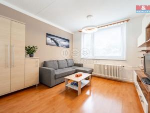 Pronájem bytu 1+1, Jihlava, Březinova, 33 m2