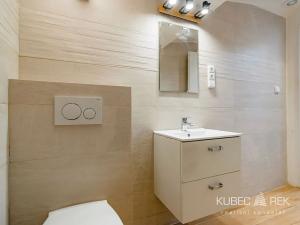 Pronájem bytu 2+kk, Tábor, Třebízského, 50 m2