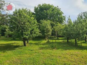 Prodej zahrady, Veselí nad Moravou - Milokošť, V Dědině, 2999 m2