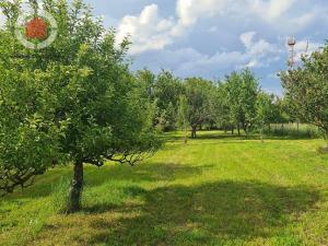 Prodej zahrady, Veselí nad Moravou - Milokošť, V Dědině, 2999 m2