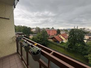 Pronájem bytu 1+1, Frýdek-Místek, K Hájku, 39 m2