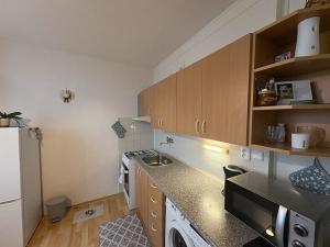 Pronájem bytu 1+1, Frýdek-Místek, K Hájku, 39 m2