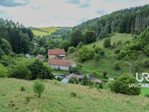 Prodej chaty, Pohledy - Horní Hynčina, 90 m2