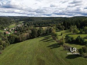 Prodej chaty, Pohledy - Horní Hynčina, 90 m2