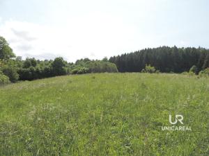 Prodej chaty, Pohledy - Horní Hynčina, 90 m2