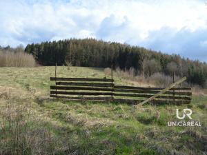 Prodej chaty, Pohledy - Horní Hynčina, 90 m2