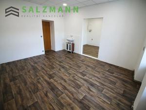 Pronájem kanceláře, Plzeň, Wenzigova, 80 m2
