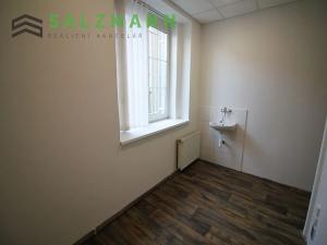 Pronájem kanceláře, Plzeň, Wenzigova, 80 m2