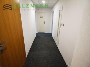 Pronájem kanceláře, Plzeň, Wenzigova, 80 m2
