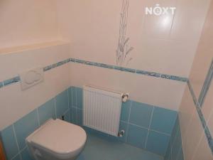 Prodej bytu 1+1, Černý Důl, 41 m2