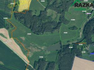 Prodej pole, Planá, 198444 m2