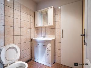 Prodej rodinného domu, Horní Ředice, 600 m2