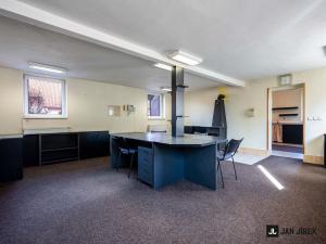 Prodej rodinného domu, Horní Ředice, 600 m2