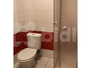 Pronájem bytu 1+kk, Čisovice, 20 m2