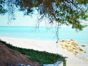 Prodej rodinného domu, Sithonia, Chalkidiki, Řecko, 250 m2