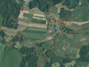 Prodej lesa, Pístina, 3113 m2