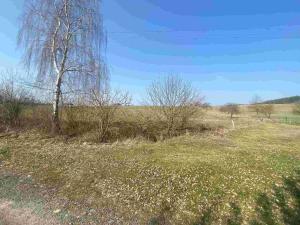 Prodej pozemku, Olešnice, 8201 m2