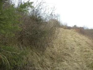 Dražba louky, Ptice, 3291 m2