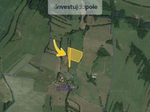 Prodej louky, Velké Chvojno - Mnichov, 34693 m2