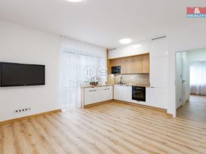 Prodej bytu 2+kk, Havířov, Hálkova, 46 m2