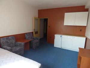 Pronájem bytu 1+kk, Brno, Heršpická, 23 m2
