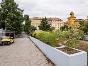 Prodej bytu 2+1, Praha - Žižkov, Pospíšilova, 95 m2