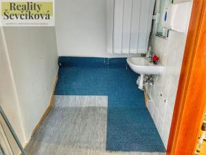 Pronájem obchodního prostoru, Hradec Králové, Škroupova, 53 m2