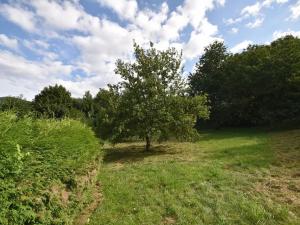 Prodej rodinného domu, Česká Ves, Úzká, 280 m2
