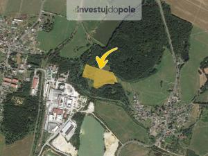 Prodej louky, Nová Role - Jimlíkov, 6450 m2