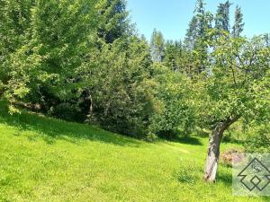 Prodej chaty, Jablonné nad Orlicí, U Vrby, 22 m2