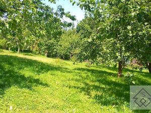 Prodej chaty, Jablonné nad Orlicí, U Vrby, 22 m2