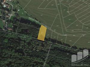 Prodej pole, Dolce, 31522 m2